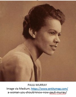 pauli-murray-narrower