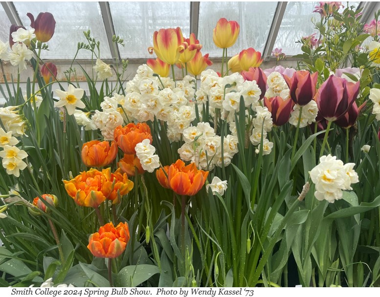 bulb-show