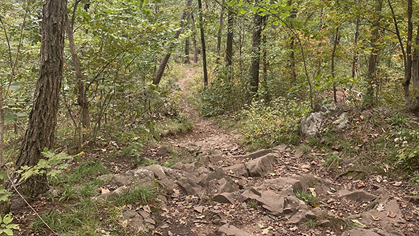 Mountain Day